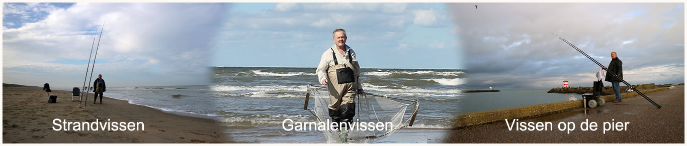 Strandvissen garnalenvissen piervissen